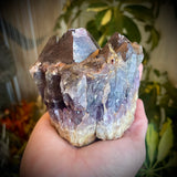 Local Amethyst Cluster - 2025