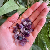 Local Auralite Tumble