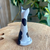 Cat - Cow Spots- By Wojo