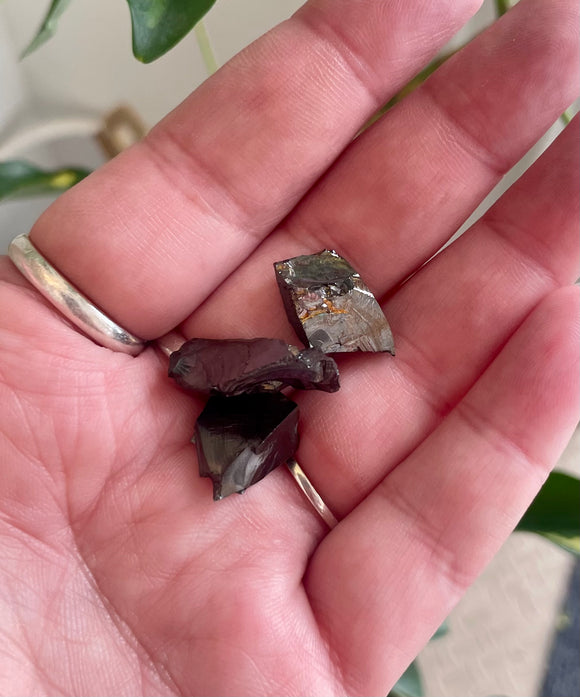 Shungite Raw Stone Small