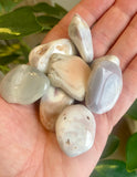 Botswana Agate Tumble Stone