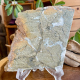 Natural Pyrite Speckled Quartz in Matrix Slab - Bancroft Ontario