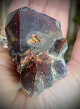 Local Amethyst Cluster - 2025