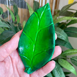 Leaf- Incense Burner - Clay By Wojo