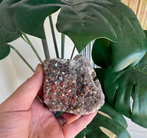 Local Auralite Cluster