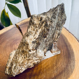 Plumose Lithium Muscovite - Ear Falls