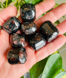 Garnet in Boitite Tumble