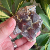 Local Amethyst Cluster - 2025