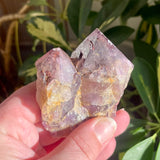 Local Amethyst Cluster - 2025