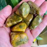 Ocean Jasper Tumble Stone