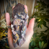 Local Amethyst Cluster - 2025