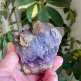 Local Amethyst Cluster - 2025