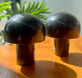 Black Tourmaline Mushroom