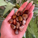 Lake Superior Agate Tumble