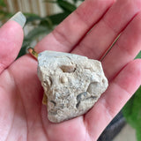 Fossils from Hudson Bay Lowlands