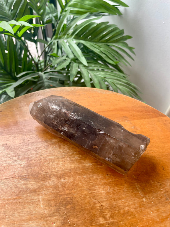 Lemurian Smoky Quartz Point