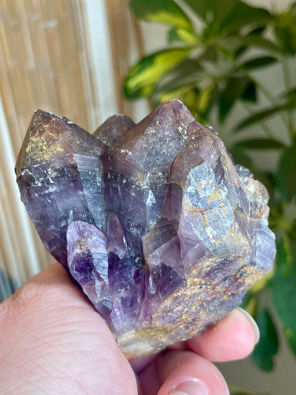 Local Amethyst Cluster - 2025