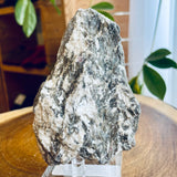 Plumose Lithium Muscovite - Ear Falls