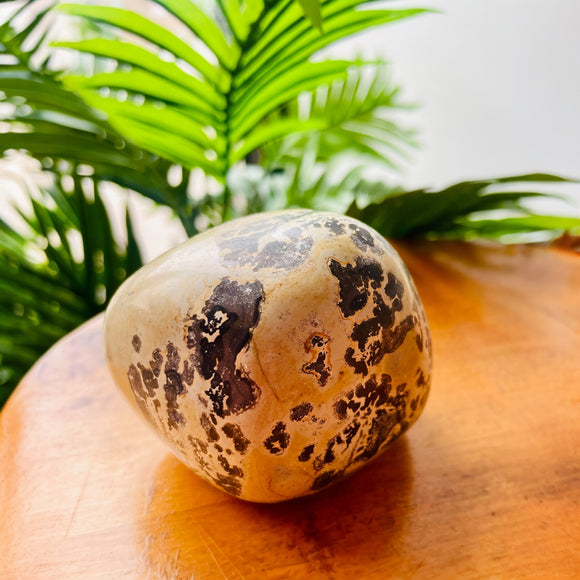 Picture Jasper