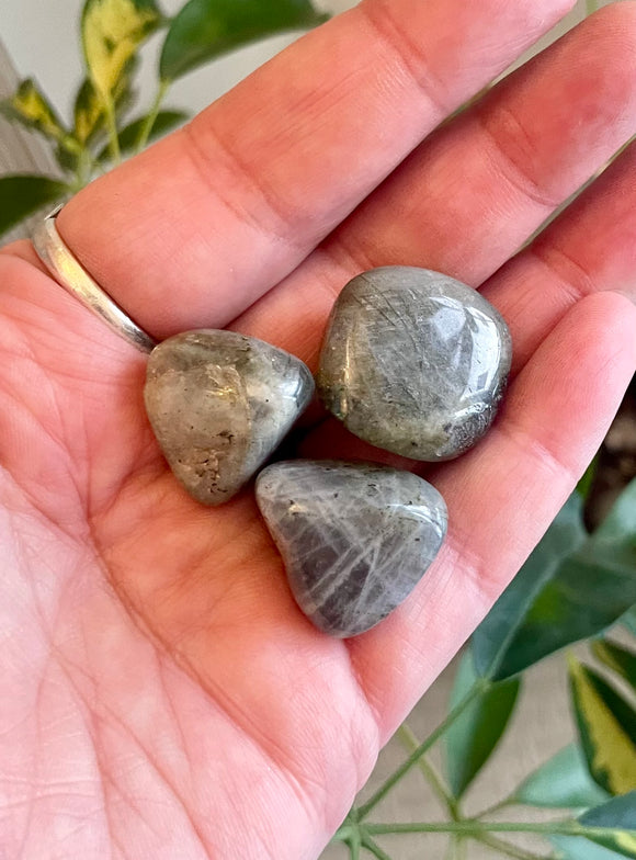 Labradorite Tumble Stone