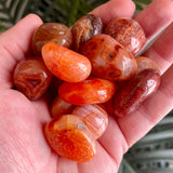 Carnelian Tumble Stone