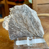Plumose Lithium Muscovite - Ear Falls