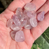 Amethyst Tumble Stone