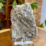 Plumose Lithium Muscovite - Ear Falls