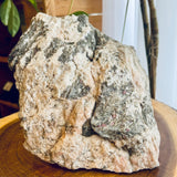 Plumose Lithium Muscovite - Ear Falls