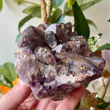 Local Amethyst Cluster - 2025