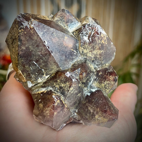 Local Amethyst Cluster - 2025
