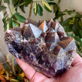 Local Amethyst Cluster - 2025