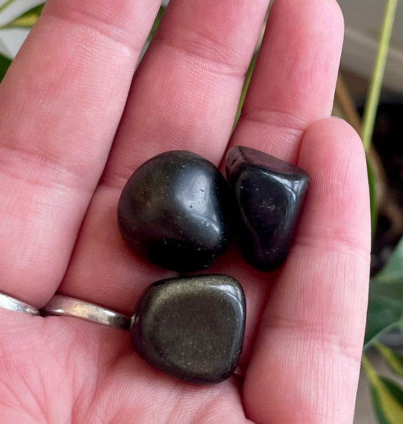 Goldsheen Obsidian Tumble