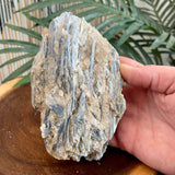 Blue Kyanite Specimen