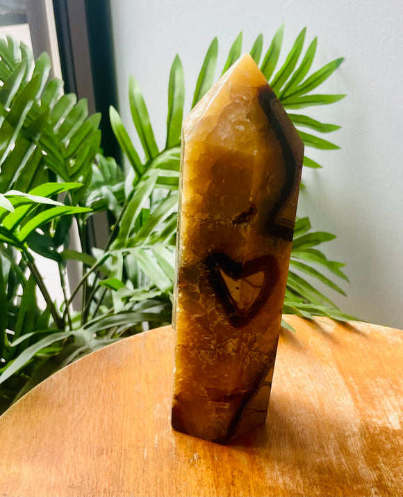Septarian Point