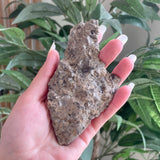 Fossils from Hudson Bay Lowlands