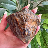 Agate Nodule