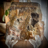 Lake Superior Agate Slab