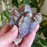 Local Amethyst Cluster - 2025