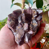 Local Amethyst Cluster - 2025