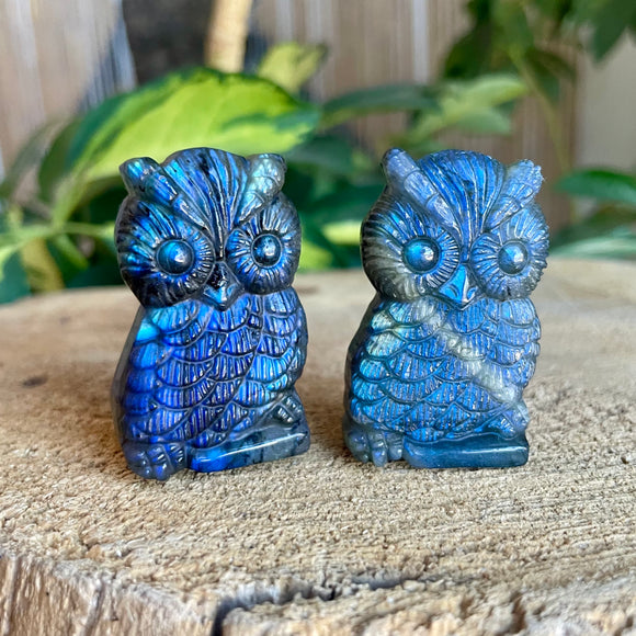 Labradorite Owl Figurines