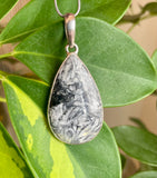 Pinolith Pendant
