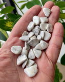 Howlite Tumble Stone