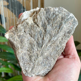Plumose Lithium Muscovite - Ear Falls