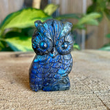 Labradorite Owl Figurines