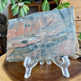 Pyrite in Agate/Jasper Matrix Slab