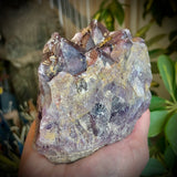 Local Amethyst Cluster - 2025