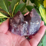 Local Amethyst Cluster - 2025