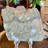 Natural Pyrite Speckled Quartz in Matrix Slab- Bancroft Ontario