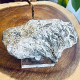 Plumose Lithium Muscovite - Ear Falls